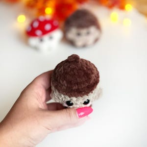 May include: A brown and beige crocheted acorn with black eyes. The acorn is held in a hand with pink nail polish. In the background, there are two other crocheted figures: a mushroom and a hedgehog.