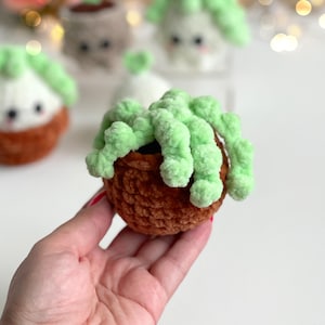 May include: A small, round, brown crocheted pot containing a plush, light green succulent plant with textured, rounded leaves. The plant is crafted from soft yarn, featuring a dense, knotted appearance that mimics the look of a trailing succulent.