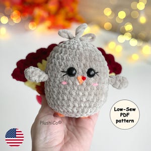Turkey Crochet PATTERN, Thanksgiving Amigurumi Bird