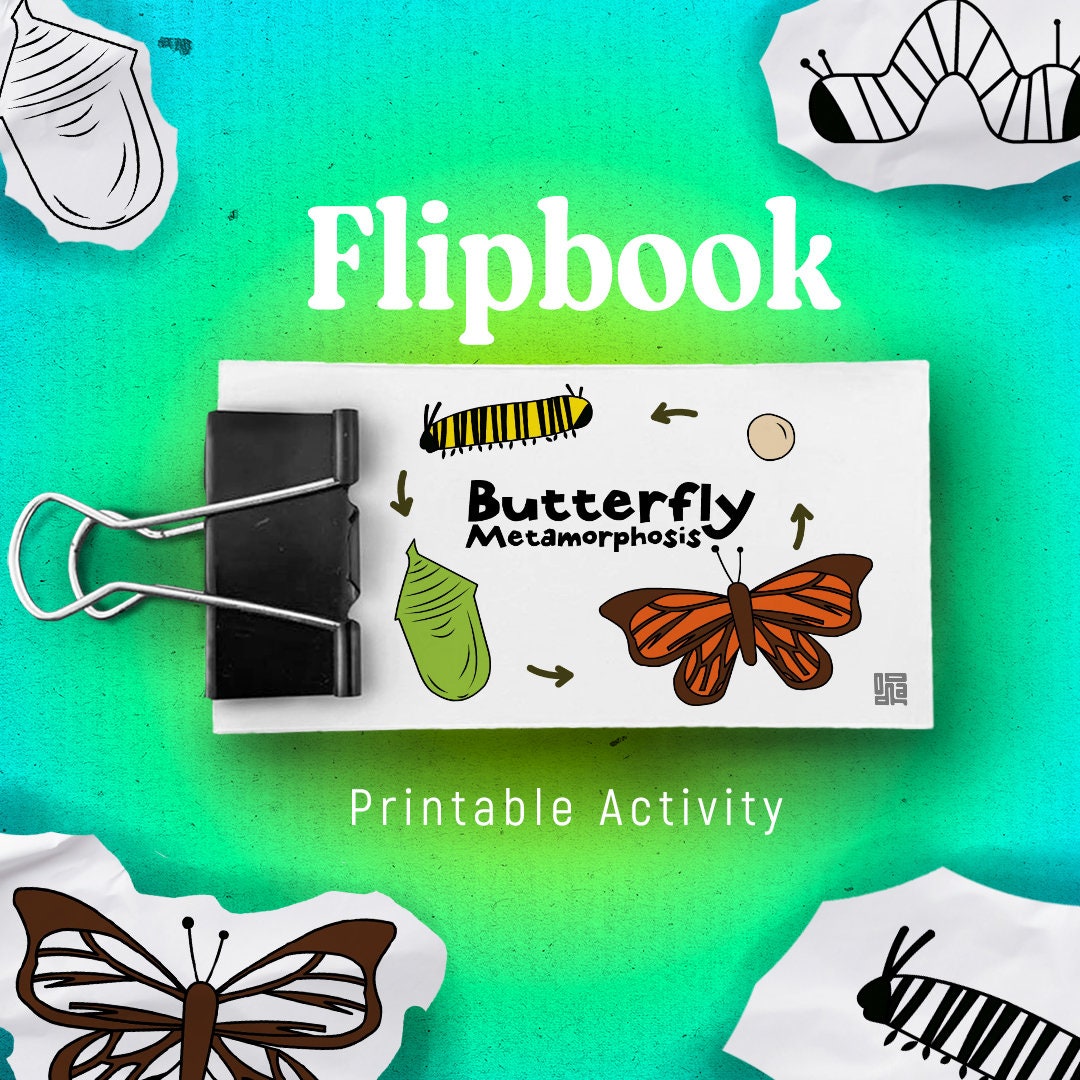 Life Cycle of a Butterfly Flipbook, Butterfly Metamorphosis Stages