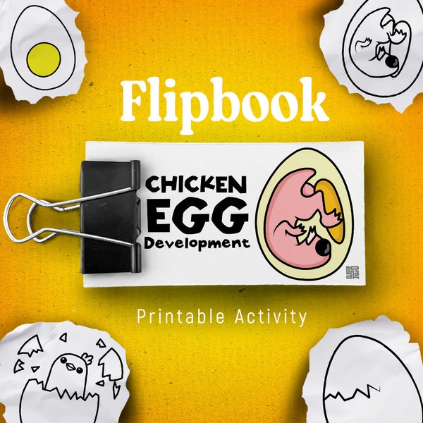 Chicken Egg Development FlipBook with Coloring Pages, Educational Printable Craft for Kids, Homeschool Chicken Embryo Development Activities