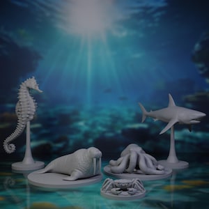 Sea Druid Wild Shapes: Aquatic Animals Miniature Pack for DnD and other RPGs
