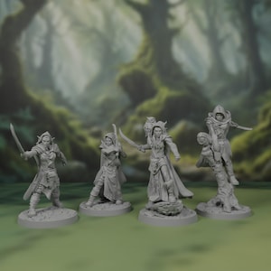 Elven Schwertkämpfer Miniaturen | Elfen Waldläuferin | Schurke | Miniaturen Set | Set | Bündel | D&D | Pfadfinder | TTPR | 3D Gedruckt | Gießharz