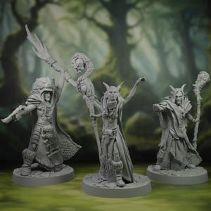 Könnte beinhalten: Drei graue Fantasy-Figuren von Charakteren mit Stäben und detaillierter Kleidung. Eine Figur trägt einen Bärenkopfschmuck und einen Umhang, eine andere hat einen Stab mit Schlangendesign, und die dritte hat Hörner und eine lange Robe. Der Hintergrund ist eine verschwommene Waldszene.