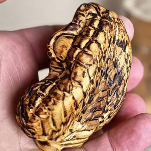 May include: A hand-carved wooden sculpture with a detailed, textured surface. The sculpture is primarily light brown with darker brown accents, creating a contrast that highlights the intricate patterns and shapes. The object appears to be a decorative piece.