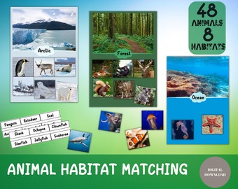 Animal Habitat Match for Kids, Realistic Animal Sorting, Homeschool Educational Resources, Preschool Sorting Worksheets, Animals for Toddler