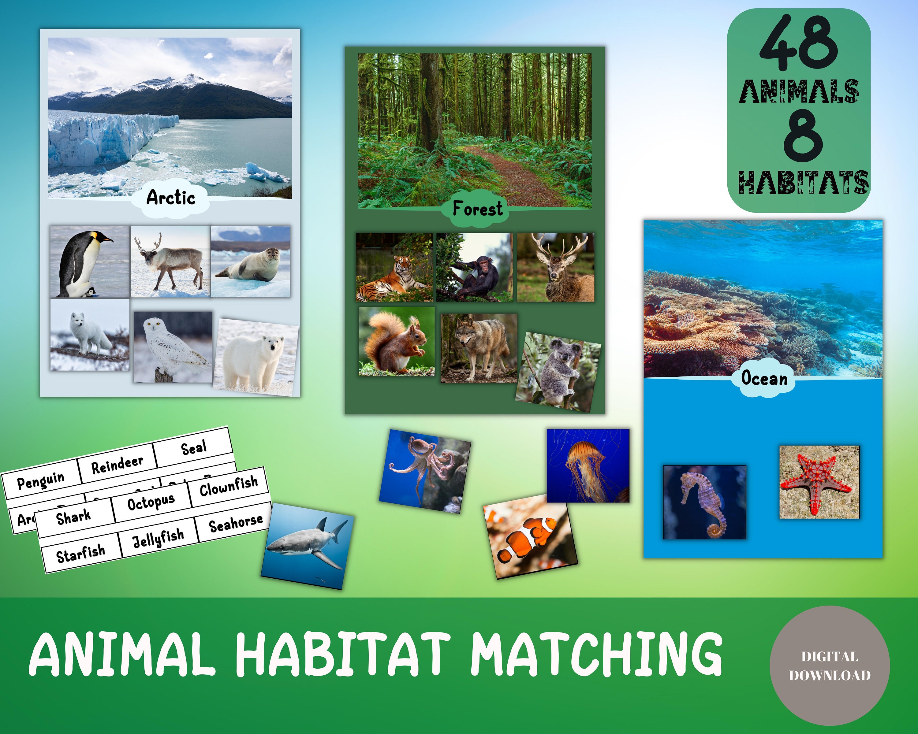 Animal Habitat Match for Kids, Realistic Animal Sorting, Homeschool Educational Resources, Preschool Sorting Worksheets, Animals for Toddler