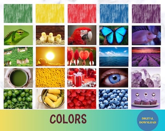 Color Sorting and Matching Printable Montessori Activity Cards for Children, Toddler Color Cards Real Photos, Preschool Digital Download