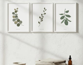 Juego de 3 piezas de arte mural botánico de spa: láminas de eucalipto, ficus y mirto, decoración neutra para baño, galería Minimal Wellness.