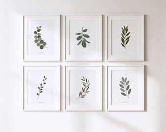 Láminas de hierbas botánicas – Arte mural verde neutro estilo cottagecore (descarga digital)