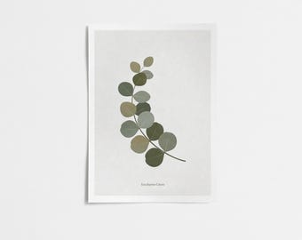 Lámina minimalista de eucalipto: arte botánico para pared en verde salvia (descarga digital)