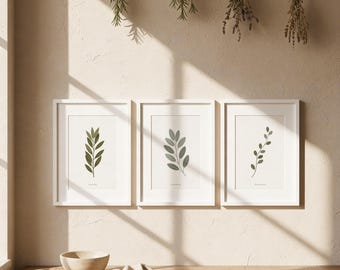 Juego de 3 cuadros de hierbas de brujas – Láminas botánicas de boticario – Decoración de cocina estilo cottagecore – Galería de pared en tonos salvia neutros