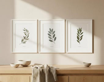 Juego de 3 impresiones de hierbas mediterráneas para pared – Láminas de oliva, salvia y laurel – Decoración italiana neutra para cocina – Galería botánica – Descarga