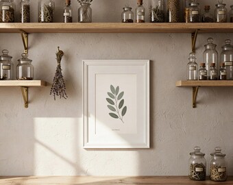 Arte mural imprimible de hierbas de boticario – Decoración botánica de cocina con salvia – Impresión digital vintage de hierbas
