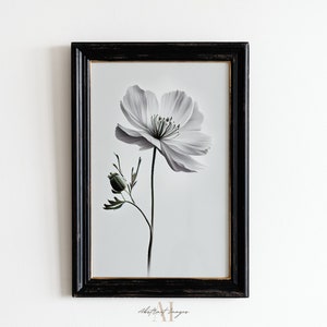 Softness Art Print White Flower Wall Print Art Printable Wall Art Digital Prints Instant Download Floral