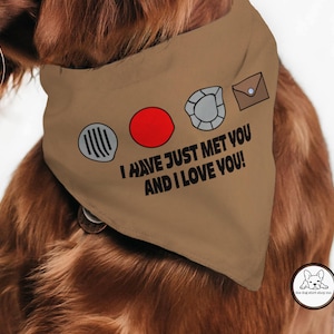 UP Dog Bandana, Talking Dog Collar, Wilderness Explorer, Badges, Dug, Russell, Carl, Tie On Bandana, Grape Soda, Mouse Gift, Mouse Fan,