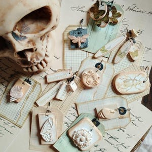 Könnte beinhalten: Eine Sammlung von Anhängern und Tags im Vintage-Stil mit einem gotischen Thema. Die Anhänger zeigen Insekten-, Blumen- und Muscheldesign. Die Tags tragen Texte wie "REGISTERED" und "IDENTIFICATION". Im Hintergrund ist ein Schädel zu sehen.