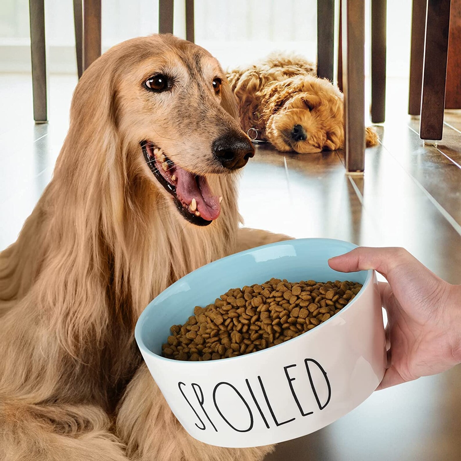 Extra Large Ceramic Dog Bowl Heavy Duty Nonslip Pet Dish Etsy