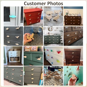 120+ Fun Drawer Knobs & Cabinet Knobs | Unique Solid Oak Hardware for Dressers, Cabinets and Furniture Bild 11