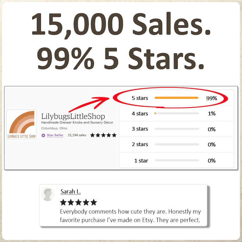 K&ouml;nnte beinhalten: Eine grafische Darstellung mit 15.000 Verk&auml;ufen und 99 % 5-Sterne-Bewertungen. Sie zeigt das Logo von LilybugsLittleShop, eine Aufschl&uuml;sselung der Sternebewertungen mit einem roten Kreis um die 99 % und eine Kundenbewertung von Sarah L.