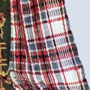 May include: Close-up of a red, white, and blue plaid fabric with a fringe edge. The fabric is woven with a checkered pattern.