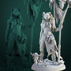 Meirsoa Gnoll Priestess / Miniatura stampata in 3D / Griglia da 25 mm / Miniatura fantasy / Base personalizzata / Con licenza WWT