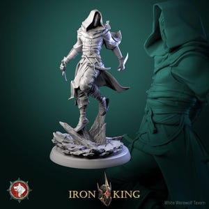 Dead Assassin | Miniatura drukowana w 3D | Siatka 25 mm | Miniatura fantasy | Podstawa niestandardowa | Licencjonowany WWT
