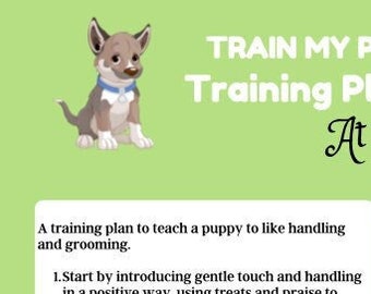 Training plan for puppy, train basic home skills, dog training, crate, biting, grooming, calm down, home alone, play