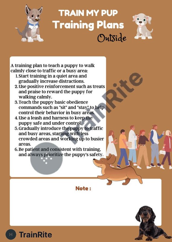 How Do I Start To Train My Puppy