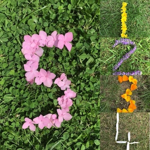 Números de exibição da natureza - 1-20 - Cartões Montessori - EYFS - Flores - Numeracia