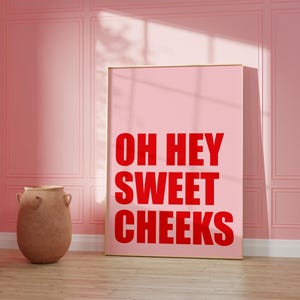 May include: A pink wall with a framed poster that says "OH HEY SWEET CHEEKS" in red letters. A terracotta pot sits in front of the poster.