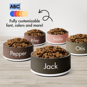 Personalized Pet Bowl Gift, Custom Dog or Cat Bowl with Name, Stainless Steel Pet Dish, Pet Lover Gift, Custom Dog Bowl With Name