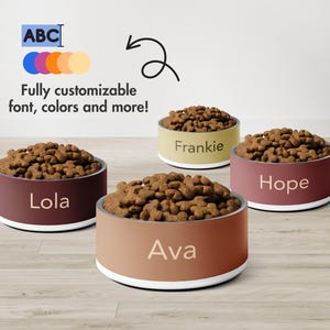 Personalized Dog Bowl with Name, Stainless Steel Pet Bowl for Food or Water, Custom Cat Dish, Pet Owner Gift Idea, Cute Dog Mom Accessories