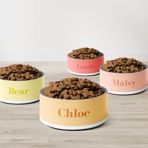Custom Pet Bowl, Personalized Dog or Cat Bowl with Name, Custom Fonts & Colors, Stainless Steel Pet Dish, Pet Gift, Custom Pet Food Bowl