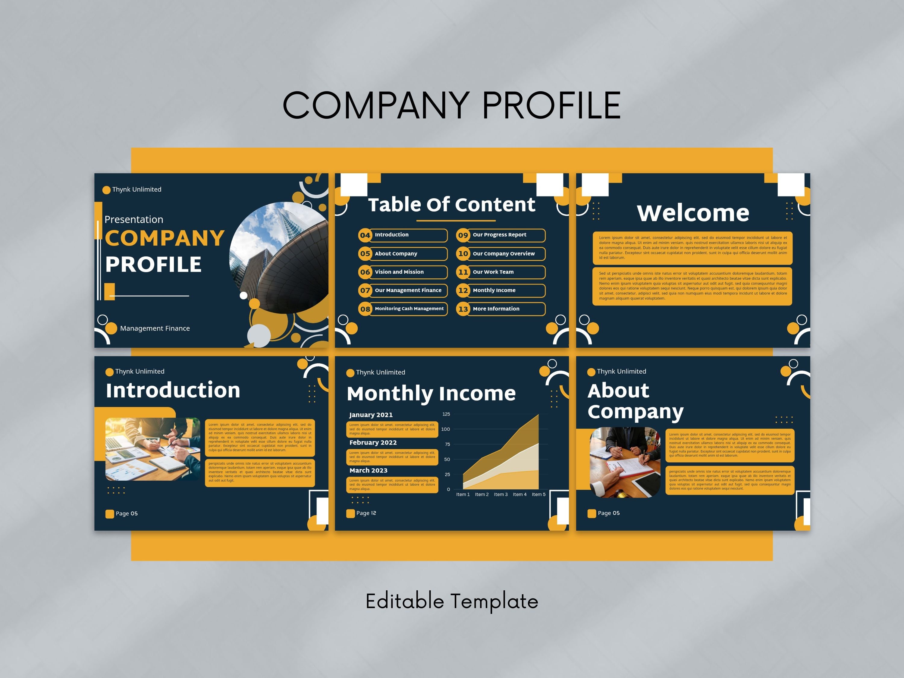 Company Profile Presentation Business Profile Business Booklet