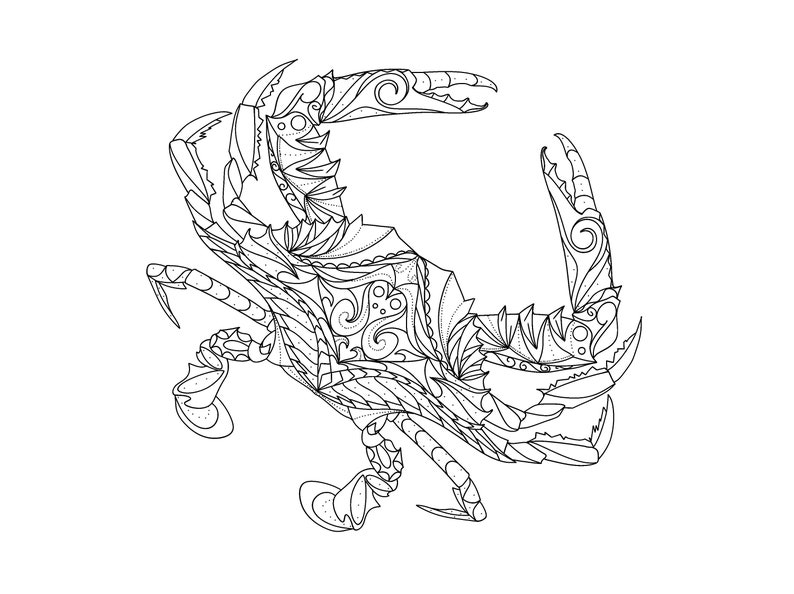Popular Blue Sea Crab Coloring Page / Stress Relief Adults & - Etsy