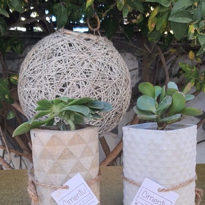 Bomboniere in cemento per matrimonio, regalo invitati vasetti in cemento con piantina grassa