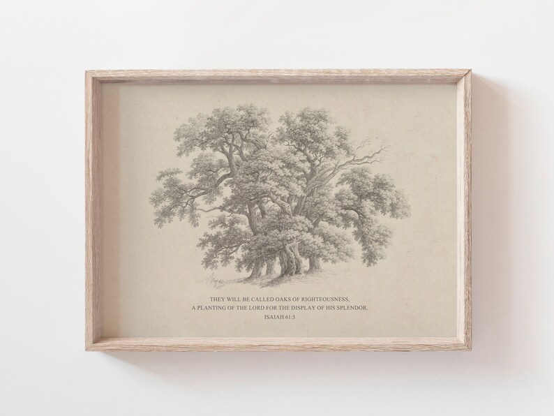 Isaiah 61:3 Oaks of Righteousness Bible Verse Wall Art Poster/Canvas, Rustic Vintage Christian sketch drawing landscape Scripture Quote