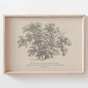 Isaiah 61:3 Oaks of Righteousness Bible Verse Wall Art Poster/Canvas, Rustic Vintage Christian sketch drawing landscape Scripture Quote