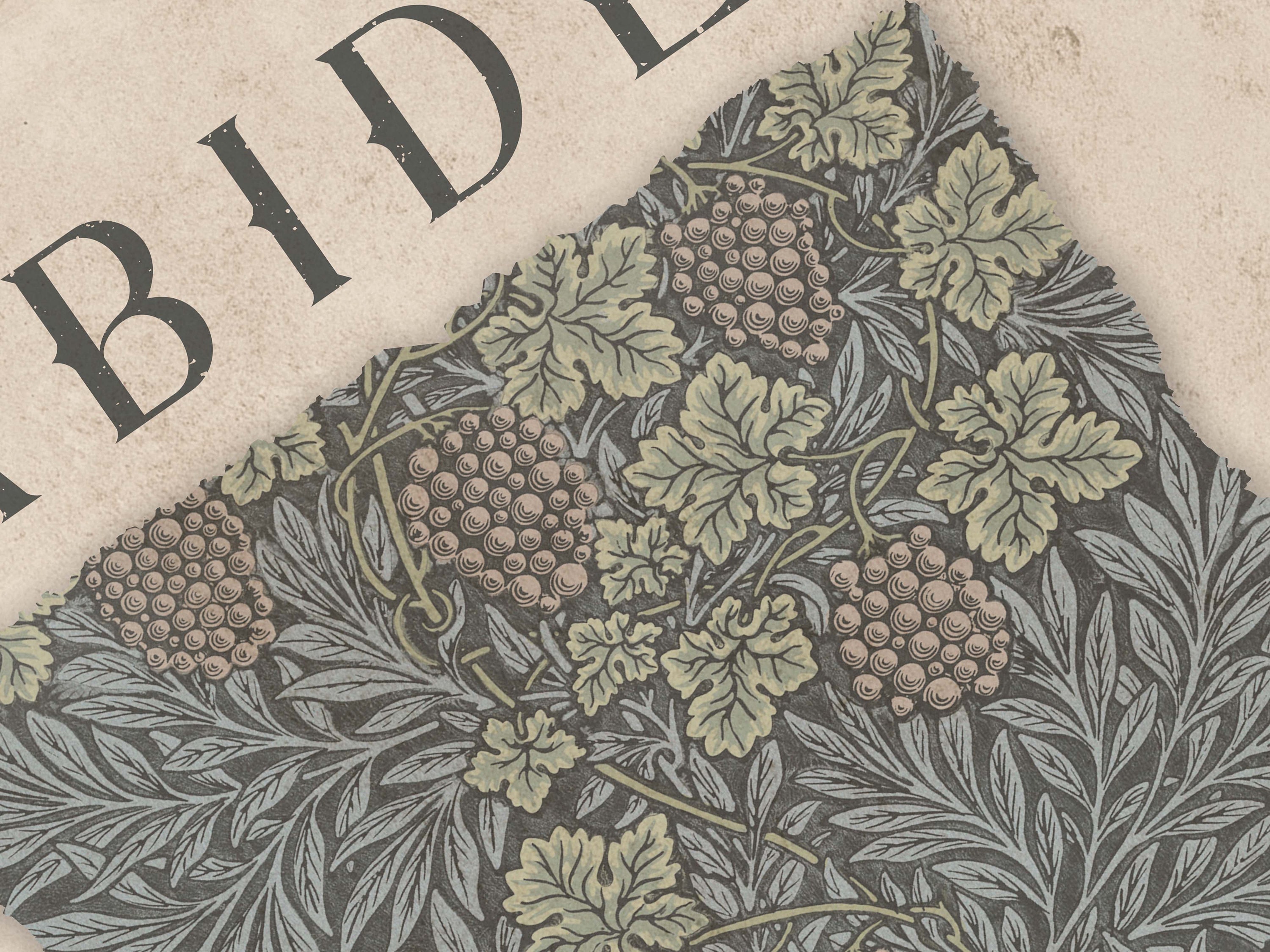 John 155 Vine and Branches Bible Verse Unframed Poster Wall Art