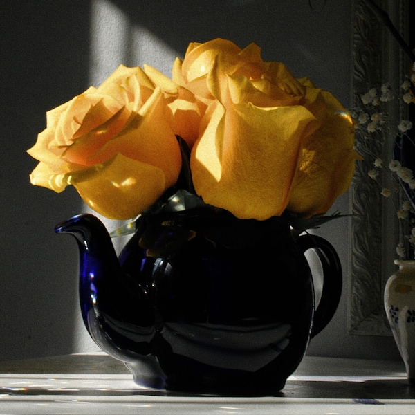 Pots and Petals Portrait Digital Download Yellow Rose Photography