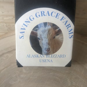 Bar Soap