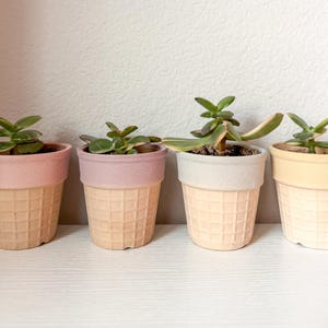 Pastel Ice Cream Cone Ceramic Planters: Set of 4 Succulent Pots with Drainage Hole