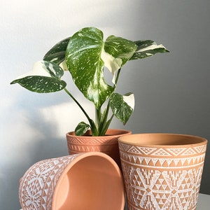 Terracotta Pot - Aztec Planter | 5" Pot | Terracotta Planter | Pot with Drainage | Plant Pot | Pots with Feet