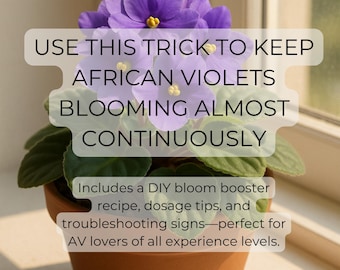 Epsom Salt Guide for African Violets: Bloom Booster Recipe (Digital Download)