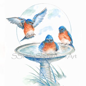 May include: Three bluebirds, one bathing in a bird bath, one perched on the edge, and one flying overhead. The bird bath is made of gray stone and has a round basin filled with water. The background is a watercolor wash of blue and green.