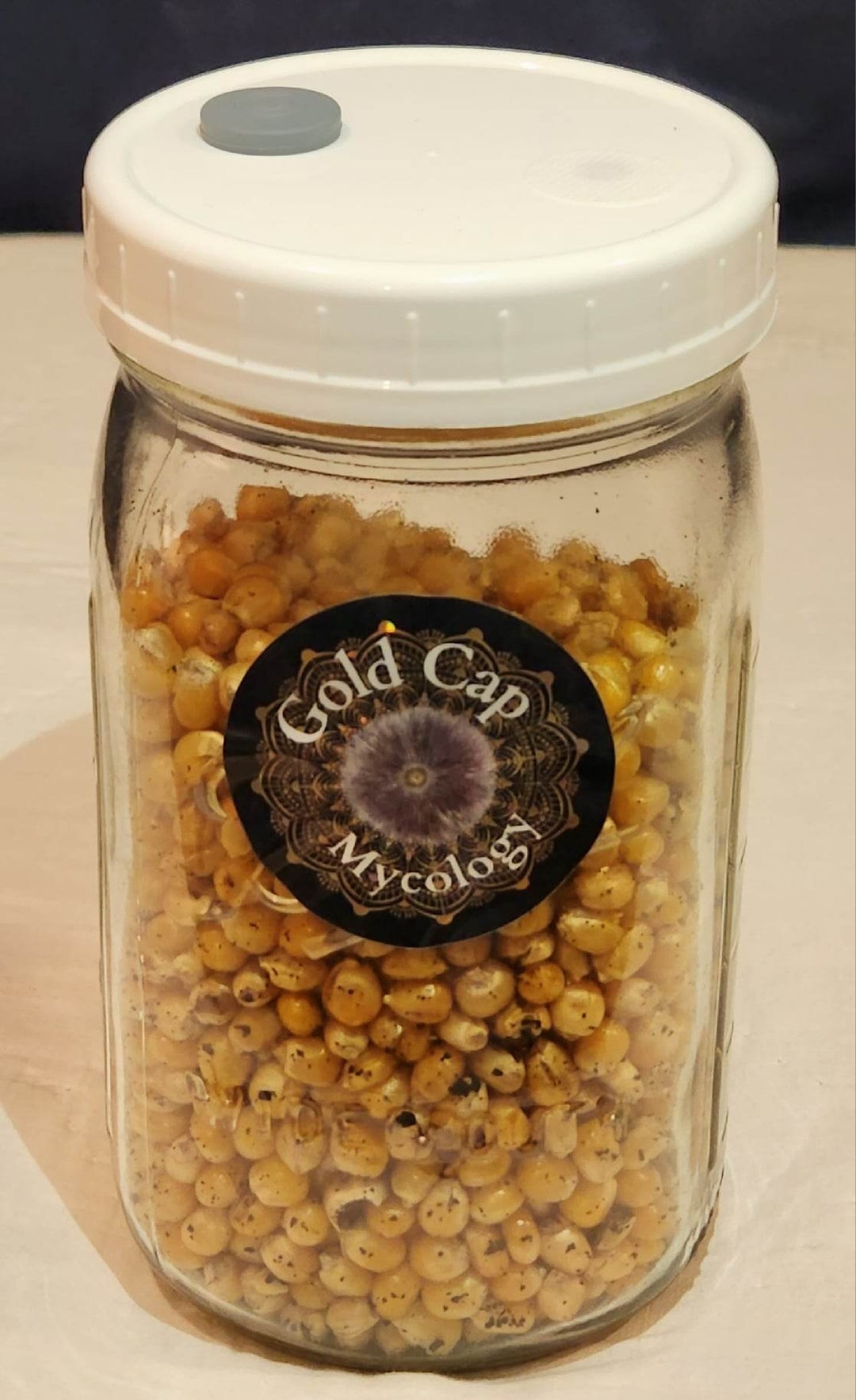 6x 1qt Mushroom Spawn Jars Popcorn or Oat. for Complete Inventory