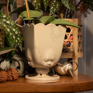May include: A beige ceramic planter with a scalloped rim and faces sculpted around the sides. The planter sits on a round, light-colored base. The planter is filled with green plants and is on a wooden table.