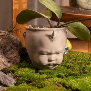 May include: A gray ceramic planter shaped like a baby's face, with a small horn on its forehead, holds a green plant. The planter sits on a bed of green moss, with rocks and a wooden shelf in the background.