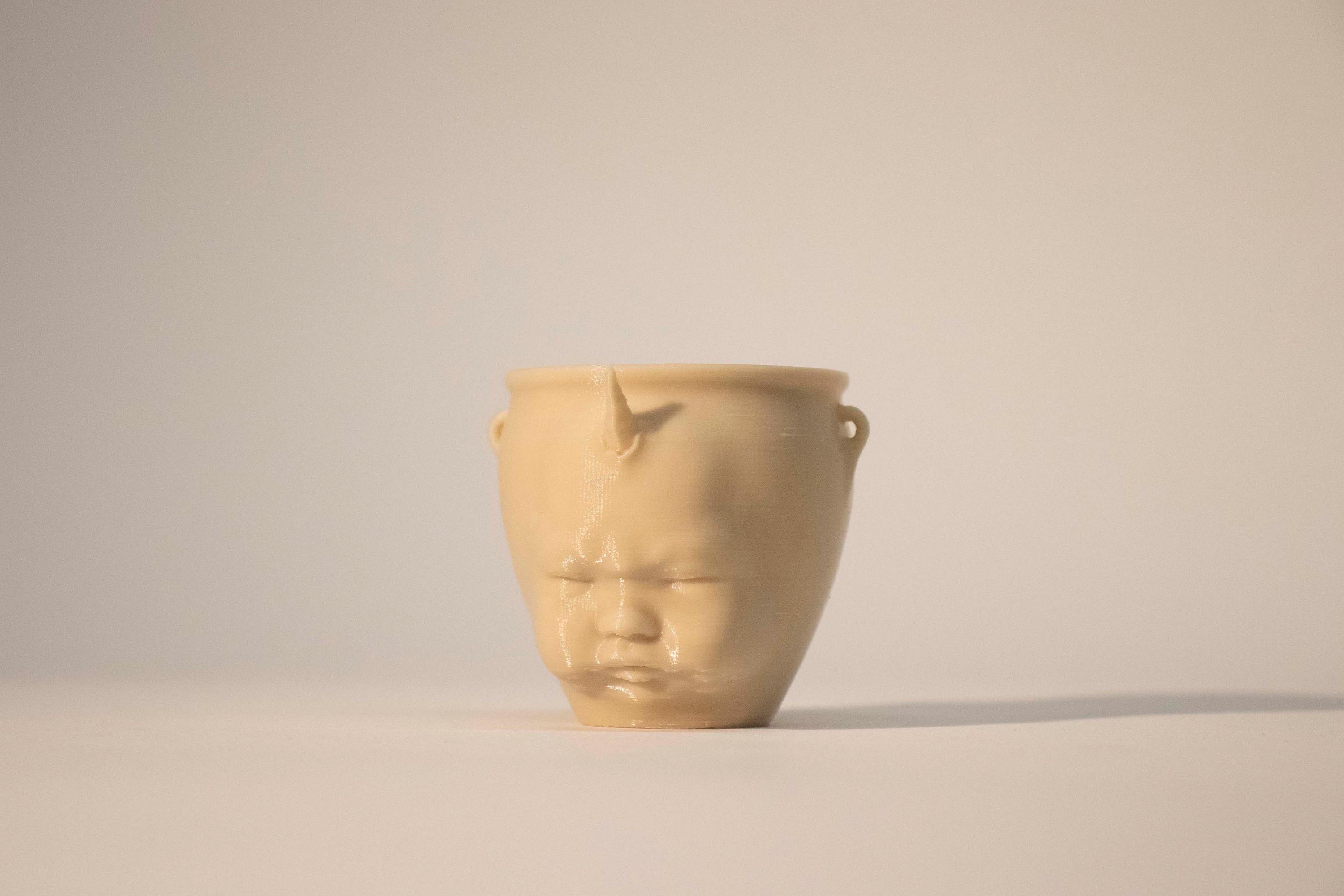 Angry Baby Face Planter: Original Indoor Plant Pot With Drainage for ...